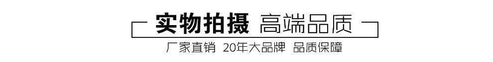 低噪音齿轮油泵 巨兴 圆弧齿轮泵 滤油机用齿轮泵示例图7