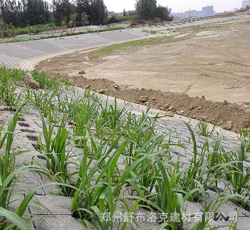 护坡砖 水工砖 连锁砖 互锁砖厂家直销450-300-100河道专用示例图7